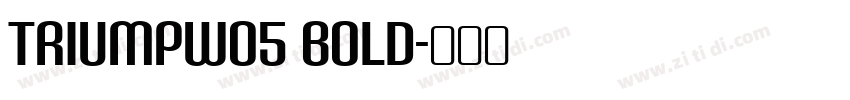 TriumpW05 Bold字体转换